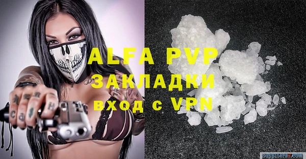 apvp Алексин