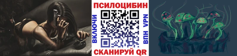Псилоцибиновые грибы Psilocybine cubensis  Вилючинск 