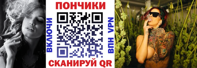 mega ссылка  Вилючинск  Конопля семена  дарнет шоп 